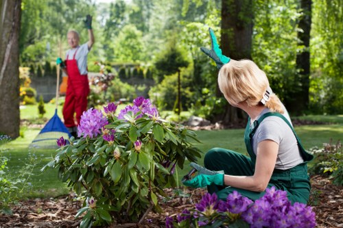 Gardener Addiscombe logo or welcoming image representing gardening services