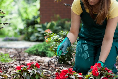 Low-carbon electric van used for garden waste collection
